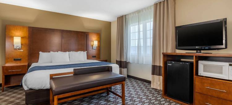 斯托里城舒适酒店 - I-35 艾姆斯附近(Comfort Inn Story City - I-35 Near Ames)图片