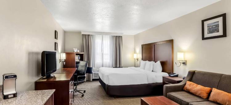 艾尔克舒适酒店(Comfort Inn Elko)图片