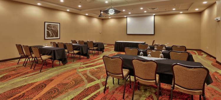 Holiday Inn 罗斯威尔(Holiday Inn ROSWELL by IHG)图片