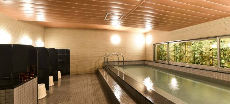 飞驒高山华盛顿广场酒店(Hida Takayama Washington Hotel Plaza)图片