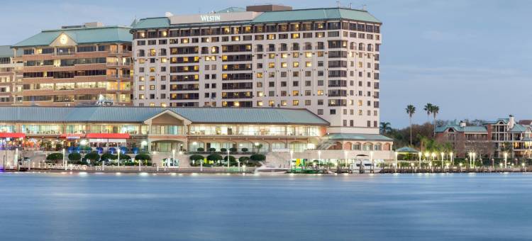 坦帕海滨威斯汀酒店(The Westin Tampa Waterside)图片