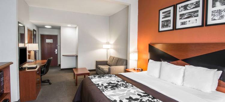 帕拉特卡北舒眠套房酒店(Sleep Inn & Suites Palatka North)图片