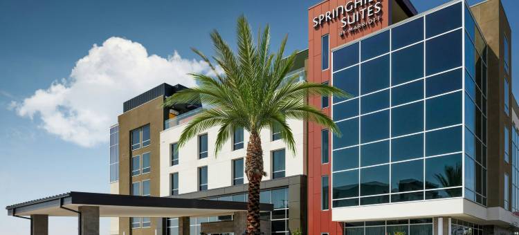 本图拉奥克斯纳德SpringHill Suites酒店(SpringHill Suites by Marriott Ventura Oxnard)图片
