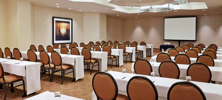 底特律诺维喜来登酒店(Sheraton Detroit Novi Hotel)图片