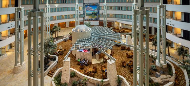 希尔顿奥斯汀机场酒店(Hilton Austin Airport)图片