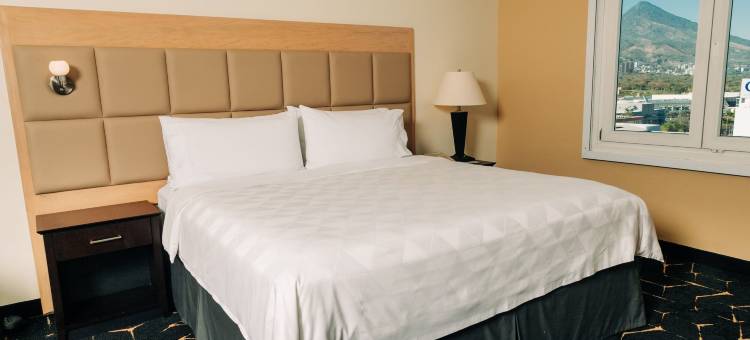 Holiday Inn 圣萨尔瓦多(Holiday Inn SAN SALVADOR by IHG)图片