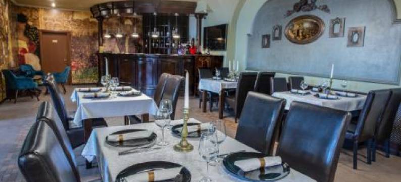 维恩酒店(Hotel Wien)图片