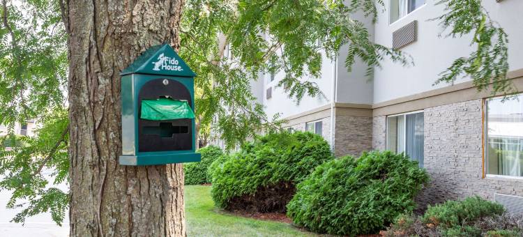 罗克福德舒适酒店(Comfort Inn Rockford Near Casino District)图片