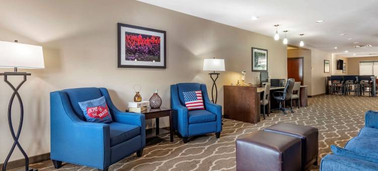 舒适套房酒店(Comfort Suites)图片