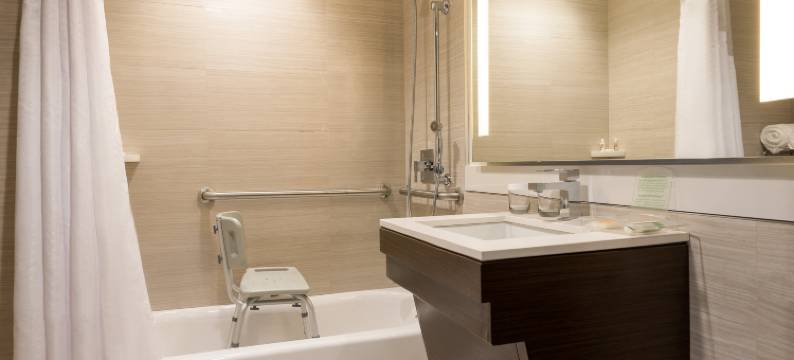 布鲁克林市中心假日酒店(Holiday Inn BROOKLYN DOWNTOWN by IHG)图片