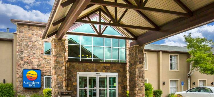 市中心舒适酒店(Comfort Inn Downtown)图片