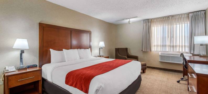 丹佛东南区舒适酒店(Comfort Inn Denver Southeast Area)图片