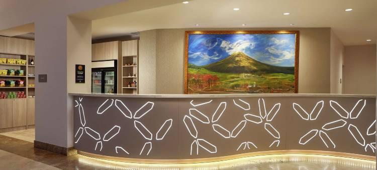 马那瓜希尔顿逸林酒店(DoubleTree by Hilton Managua)图片
