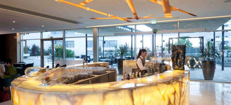 史诗萨那里斯本旅馆(EPIC SANA Lisboa Hotel)图片