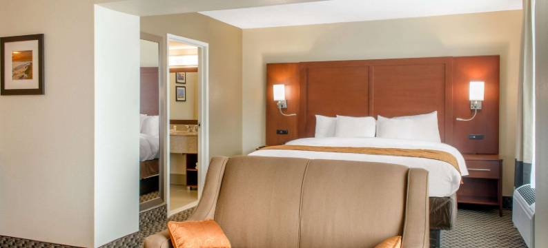 比洛西克-蒂贝维尔舒适套房酒店(Comfort Inn & Suites Biloxi-d'Iberville)图片