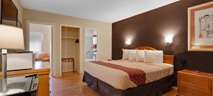 针城红顶酒店(Red Roof Inn Needles)图片