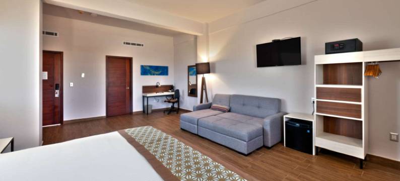 洛斯卡波斯舒适套房酒店(Comfort Inn & Suites Los Cabos)图片