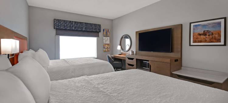 米德兰南部欢朋酒店(Hampton Inn by Hilton Midland South)图片