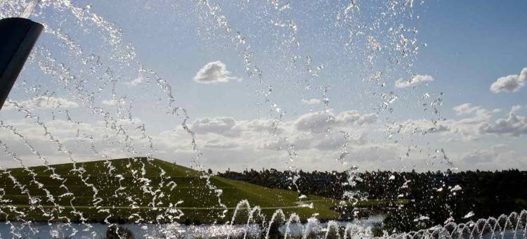 悉尼奥林匹克公园铂尔曼酒店(Pullman at Sydney Olympic Park)图片