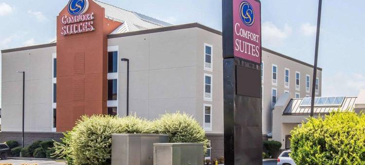 安德森舒适全套房酒店(Comfort Suites Anderson-Clemson)图片