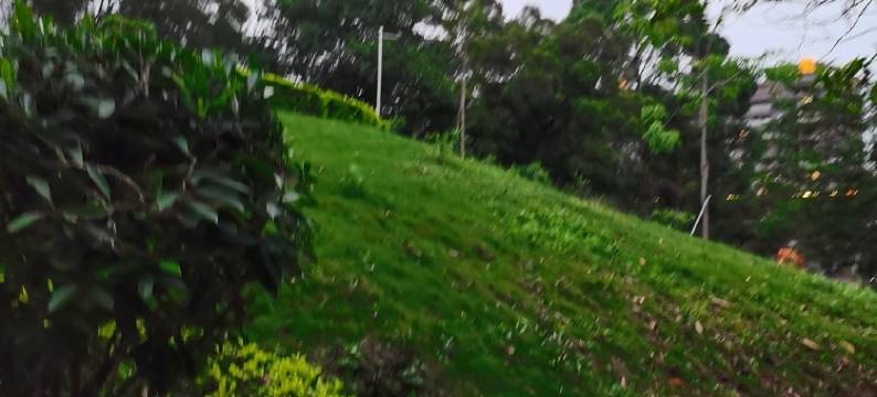 虎门依山居民宿(东北村前路2号分店)图片