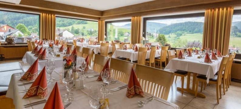 BSW - 拜埃尔斯布龙舒瓦尔德酒店(BSW Schwarzwaldhotel Baiersbronn)图片