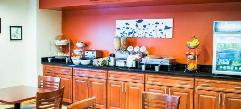 芒特普林森查尔斯顿舒眠酒店(Sleep Inn Mt. Pleasant - Charleston)图片