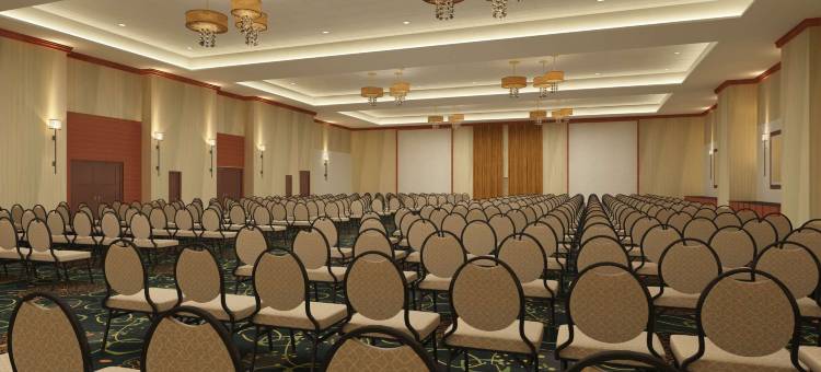 希尔顿费耶特维尔堡布拉格大使套房酒店(Embassy Suites by Hilton Fayetteville Fort Bragg)图片