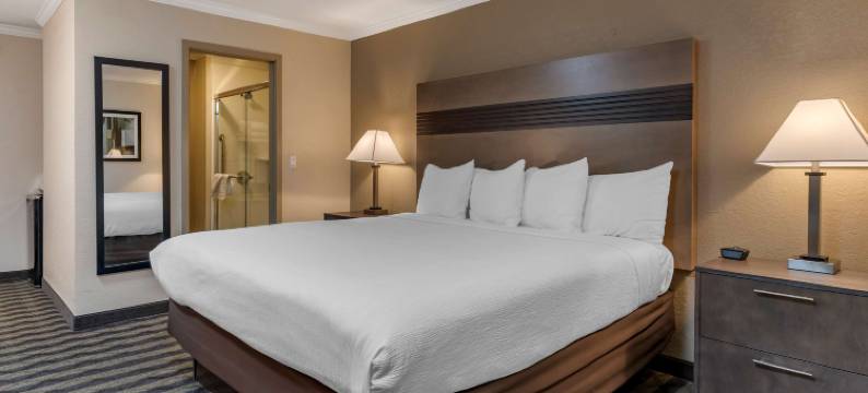 硅谷贝斯特韦斯特酒店(Best Western Silicon Valley Inn)图片