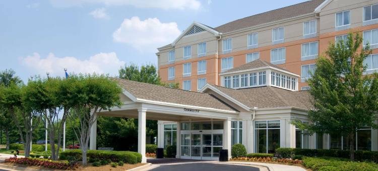 北亚特兰大/阿尔普哈雷塔希尔顿花园酒店(Hilton Garden Inn Atlanta North/Alpharetta)图片