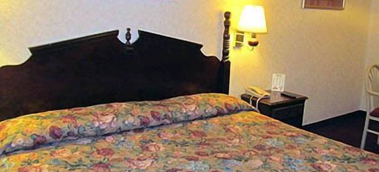 萨姆特老鹰汽车旅馆(Eagle Inn Sumter)图片