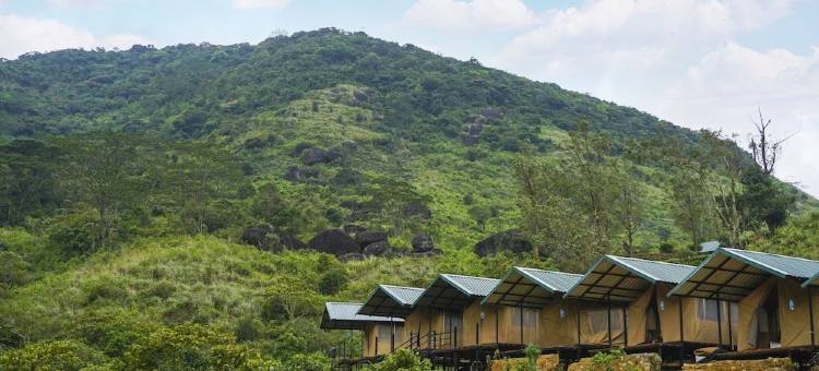 野生露营纳克尔斯(Wild Glamping Knuckles - Thema Collection)图片