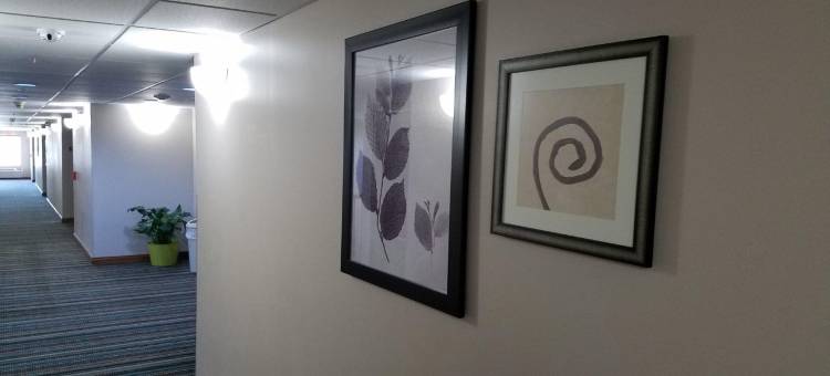 杰克逊维尔丽怡酒店(Country Inn & Suites by Radisson, Jacksonville, FL)图片