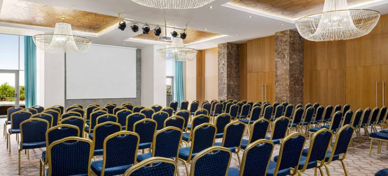 温德姆花园迪亚巴克尔(Wyndham Garden Diyarbakir)图片