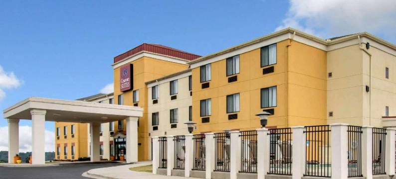 库尔曼I-65号310出口舒适套房酒店(Comfort Suites Cullman I-65 Exit 310)图片