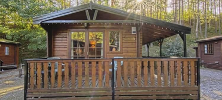 特瓦胡特斯旅馆(Twa Hoots Lodge)图片