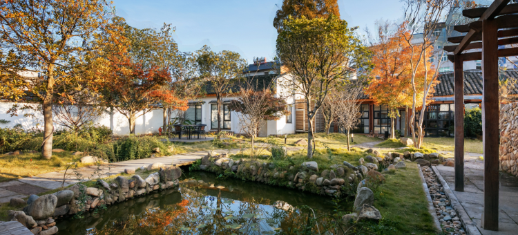 松阳茑舍图片
