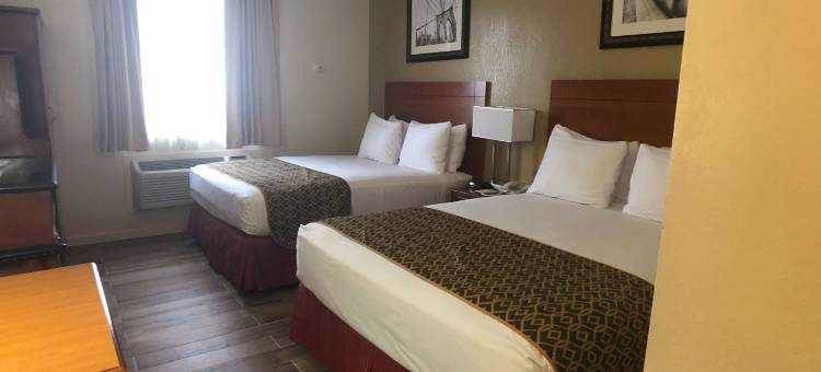 牙买加贝斯特韦斯特酒店(Best Western Jamaica Inn)图片