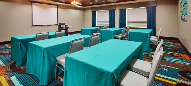 艾希顿贝斯特韦斯特精品套房酒店(Best Western Premier Ashton Suites-Willowbrook)图片