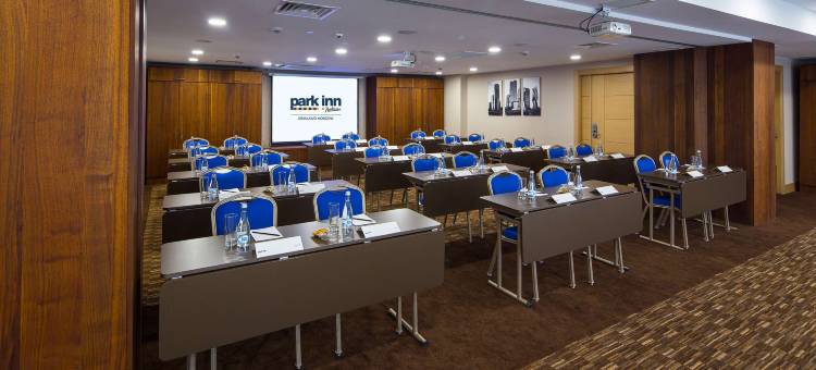 莫斯科伊兹麦罗瓦丽柏酒店(Park Inn by Radisson Izmailovo Moscow)图片