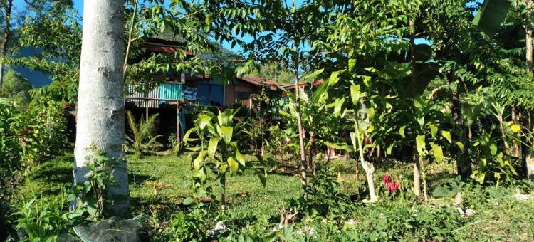 Karleta Homestay图片