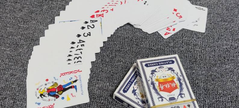 撸猫撸铁的房东大叔公寓(华兴南街分店)图片