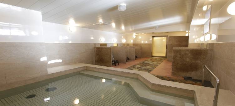 新盖亚西熊本站前酒店(Hotel New Gaea Nishi Kumamoto Ekimae)图片