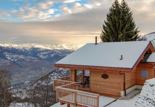 D'Arby Hotel Overview