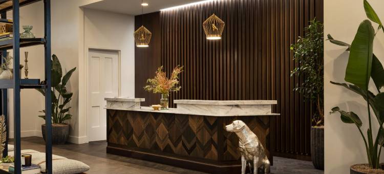 圣塔芭芭拉史杜瓦德酒店 - 臻品之选酒店(The Steward, Santa Barbara, a Tribute Portfolio Hotel)图片