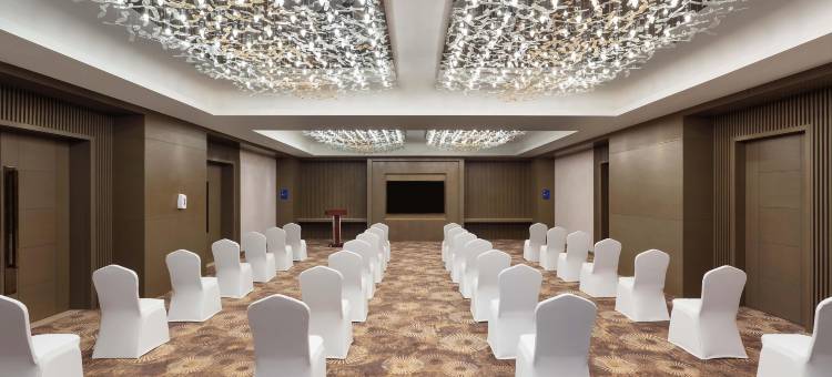 齐普尔阿梅尔希尔顿逸林酒店(DoubleTree by Hilton Jaipur Amer)图片