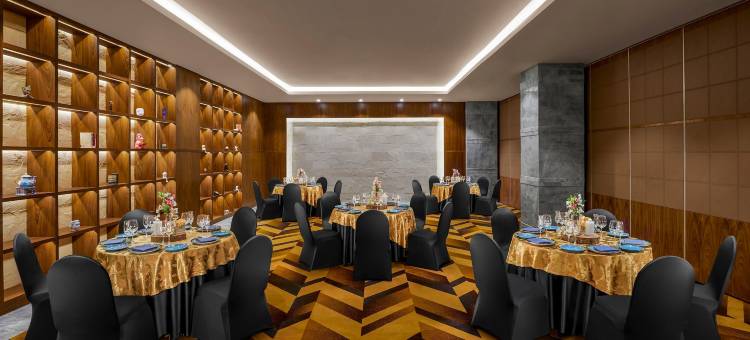新德里贾纳克普里凯悦尚萃酒店(Hyatt Centric Janakpuri New Delhi)图片