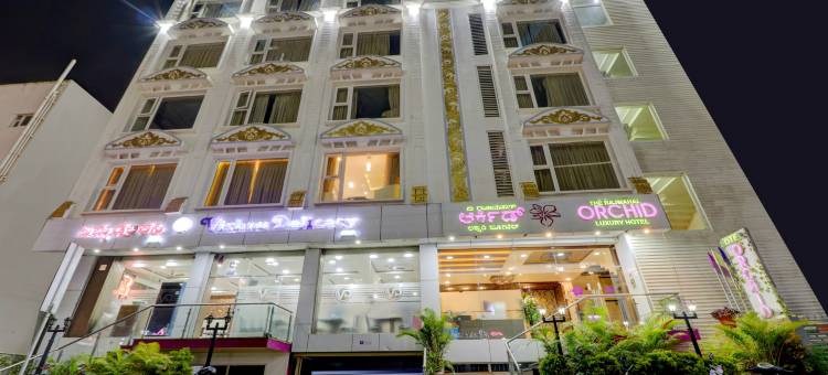 Treebo兰花(Treebo Orchid)图片