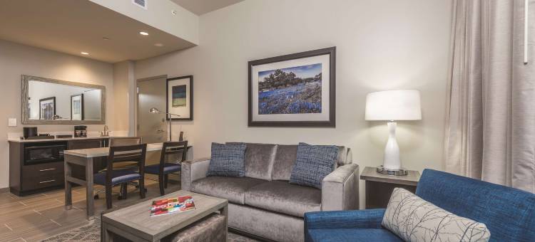 哈格斯兰丁伍德兰斯希尔顿安泊酒店(Embassy Suites by Hilton the Woodlands® at Hughes Landing)图片