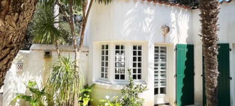 Studio with Beautiful Private Garden on the Forest in Domino图片